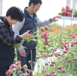 【ご注文受付終了】花農家のこだわり便