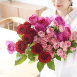 【ご注文受付終了】*Nagomu