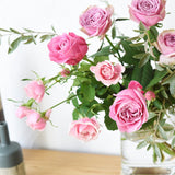 【ご注文受付終了】*Deai