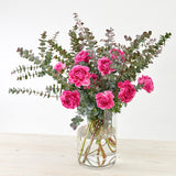 【ご注文受付終了】*Kiwami