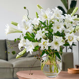 【ご注文受付終了】*Kiwami