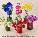 【ご注文受付終了】推しに捧げる(緑)