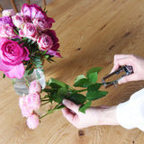 【ご注文受付終了】バラのとげ取り